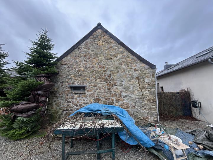 Lime pointing hints and tips. Class starting tomorrow. 