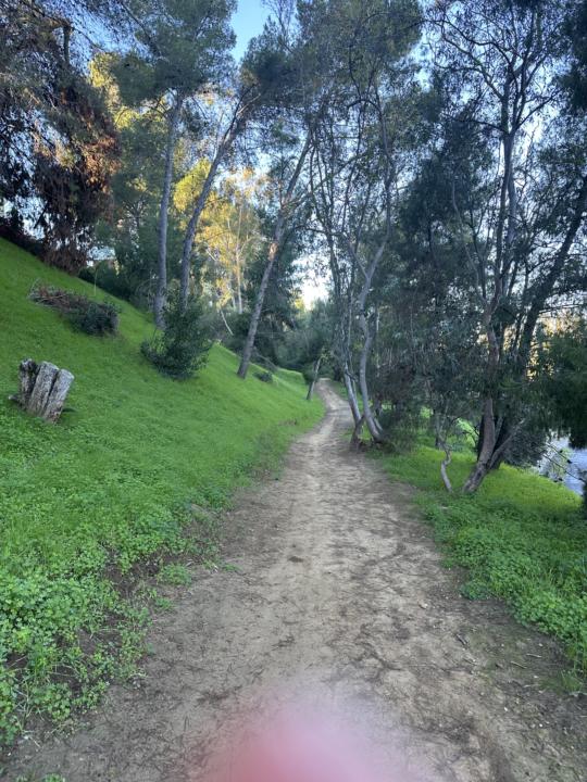 Morning walk w/Spark 