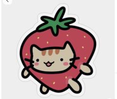 Michi Cat