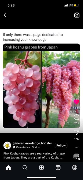 Twinkkle Ramchandani