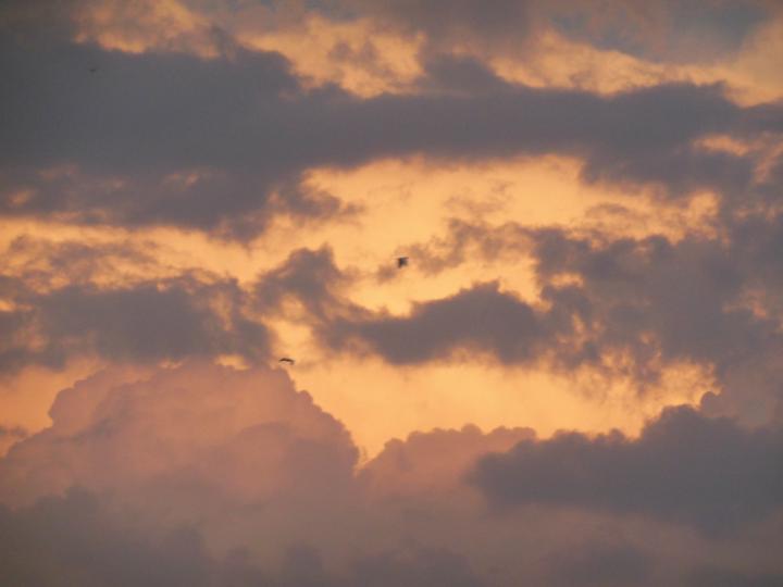 Viridiana Gonzalez de cosio avila