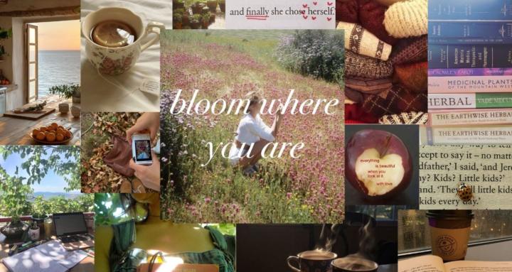 Bloom & Balance