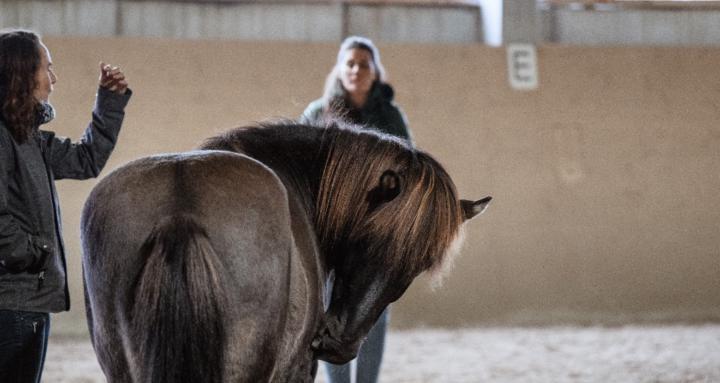 AHAA-Manufaktur's Academy