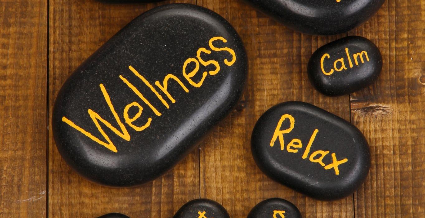 A Regulation Toolkit for Wellness