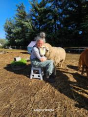 Erika Van Steensburg