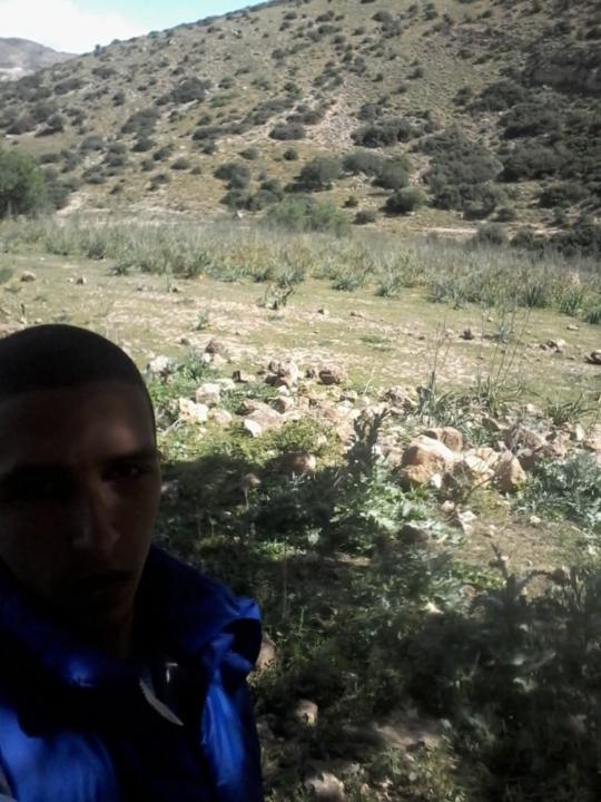 Ali Cherif Benaissa