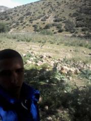 Ali Cherif Benaissa