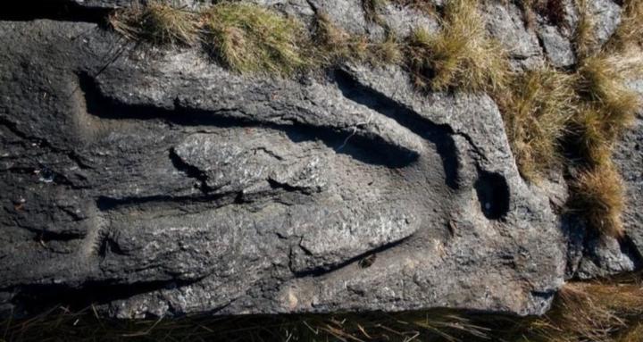 Ancient American Explorer