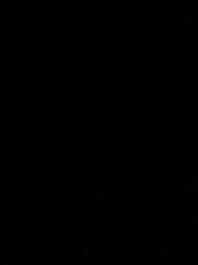 S Mohamoud