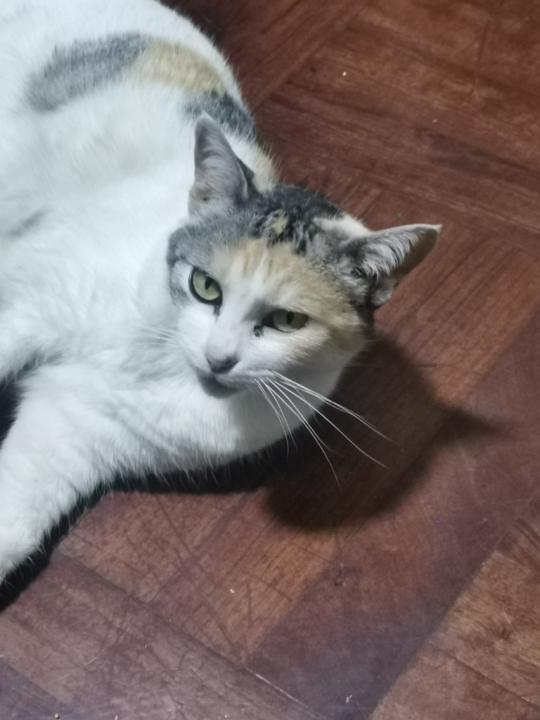 Paulina Nuñez Mozombite