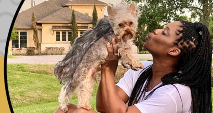 Breeding and Beyond Academy