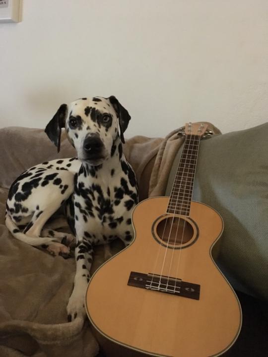 Martha Thomaschewski