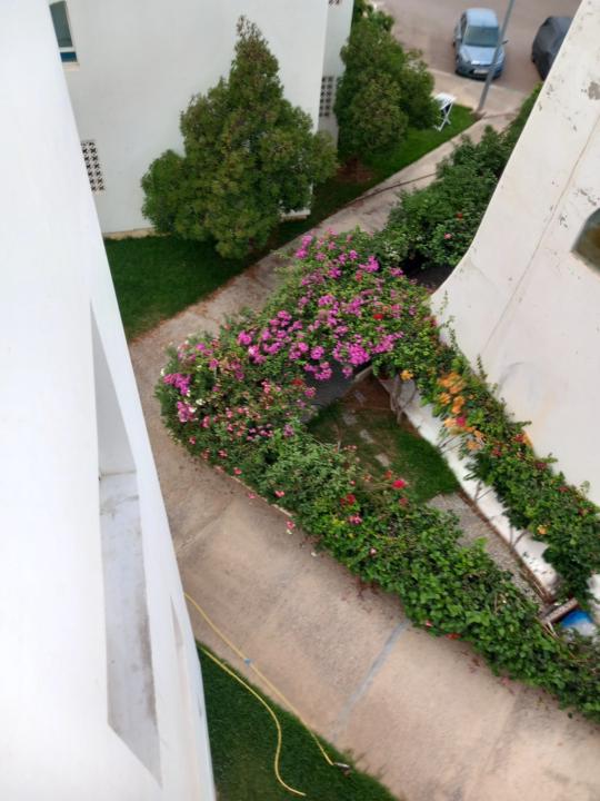 Loubna Ben
