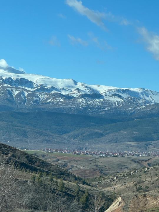 Şaban Işık