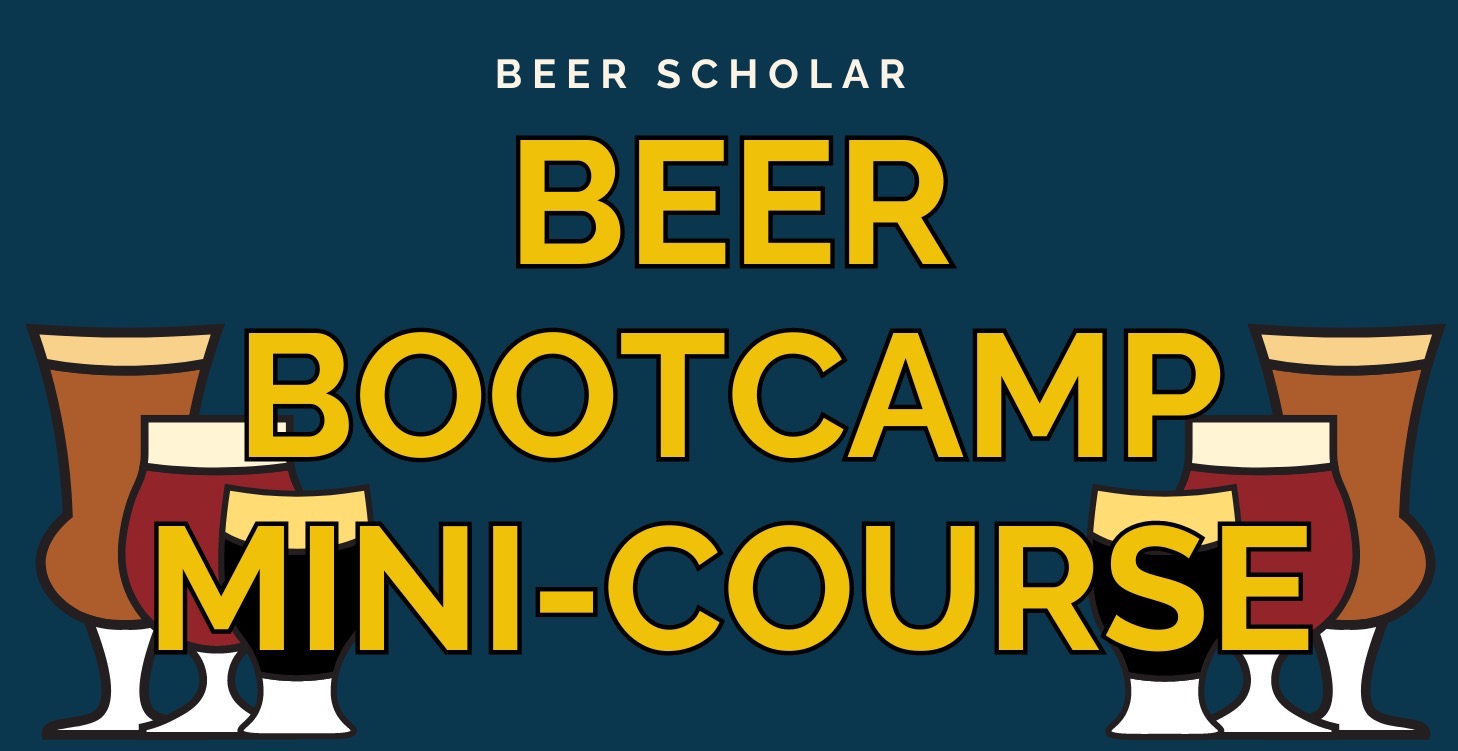 The 7 Challenge Beer Bootcamp Mini-Course