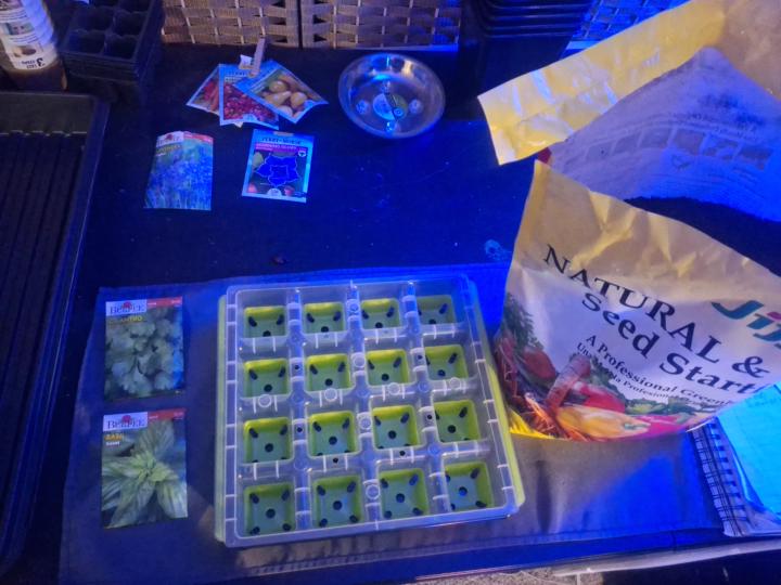 Seed Dlanting day 🌱