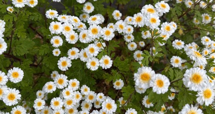 Erinviolet Enterprises