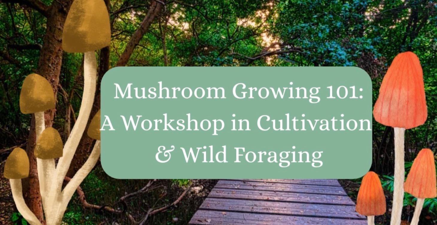 Mushroom 101: A Workshop in Cultivation & Foraging