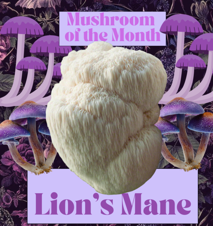 Mushroom of the Month & Mushroom Mondays