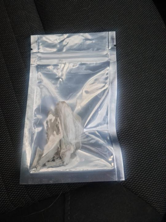 Is this a real magic mushroom?