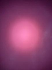 User New