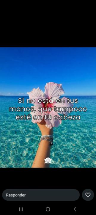 Elizabeth San Vicente