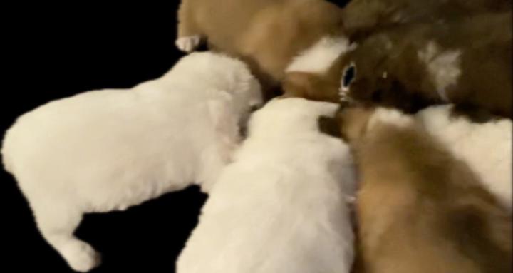 Our Daily Bread Bible Study