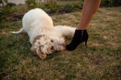 Alexander Mayhew