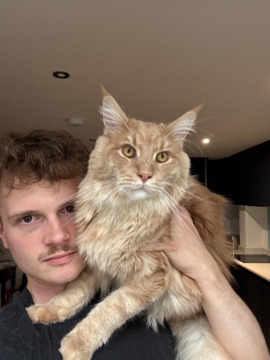 David Sinclair-Black