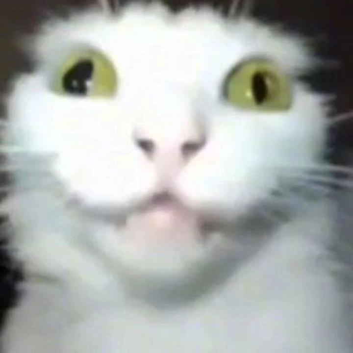 Mehmet Fatih Yılmaz