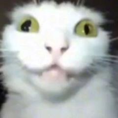 Mehmet Fatih Yılmaz