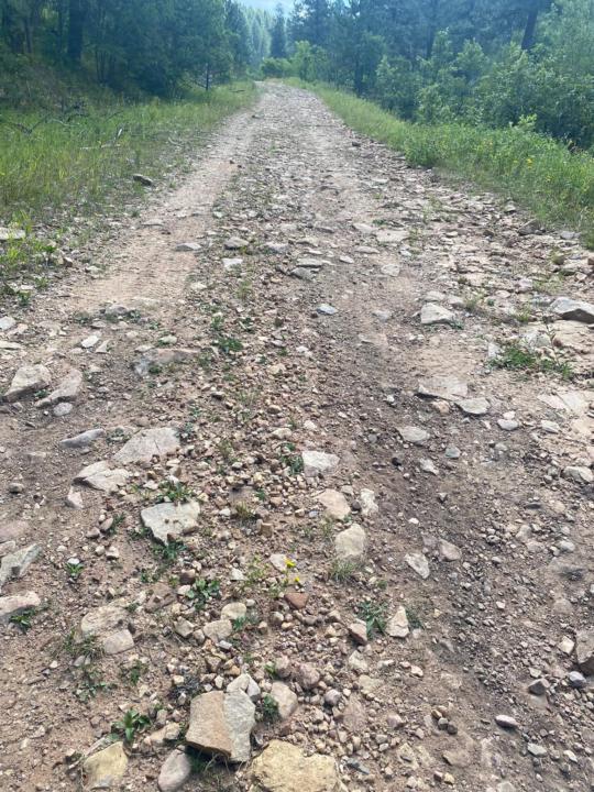 The Road Less Traveled