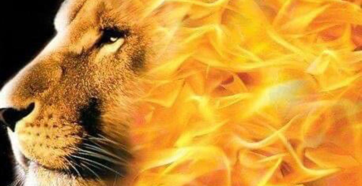 Prophetic Words & Prayers 2026