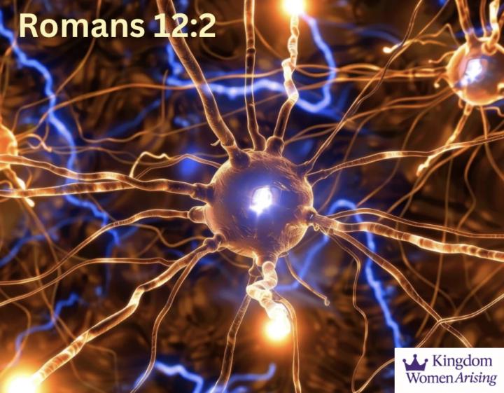 🔥 DAY 18 — Break the Cycle