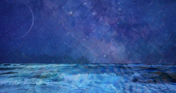 Akasha and Chakra Wisdom 