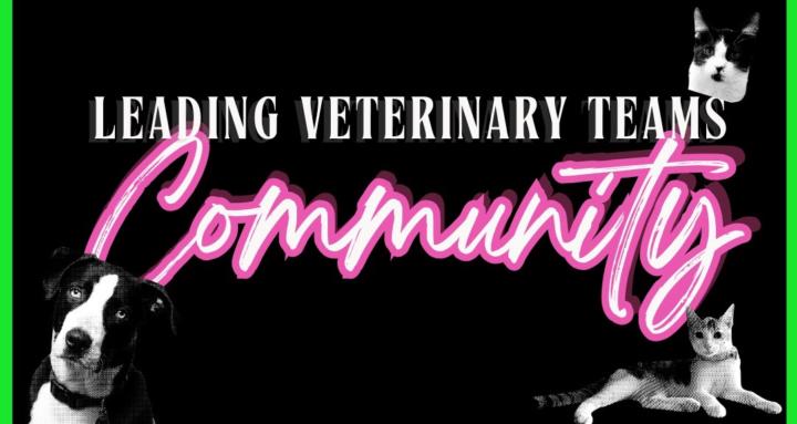 Leading Veterinary Teams 