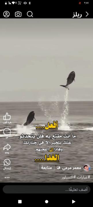 عبد الرحمن سعيد سلام الصلاحي