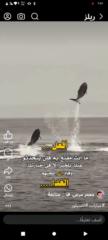 عبد الرحمن سعيد سلام الصلاحي