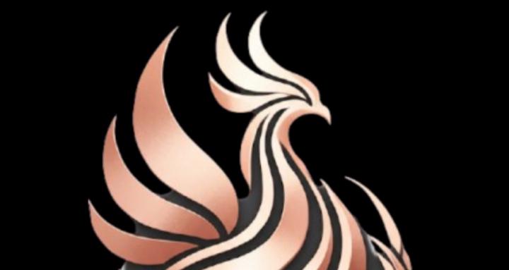 Phoenix Quantum Coaching