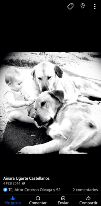 Ainara Ugarte Castellanos