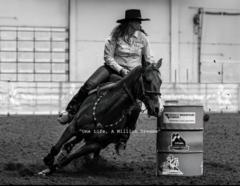 Brooke Stanic