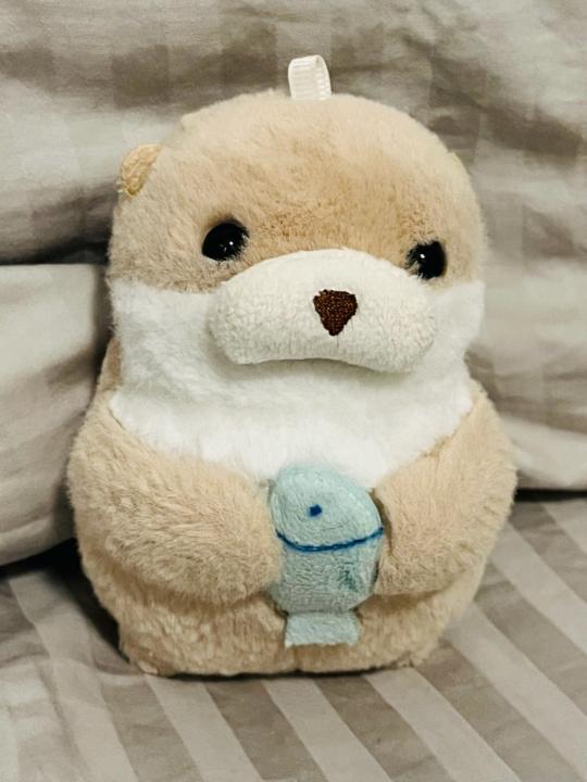 Hsiaoyun Liu