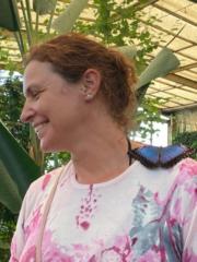 Ilse Seynhaeve