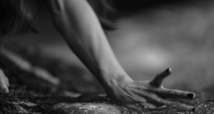 The Embodied Descent™