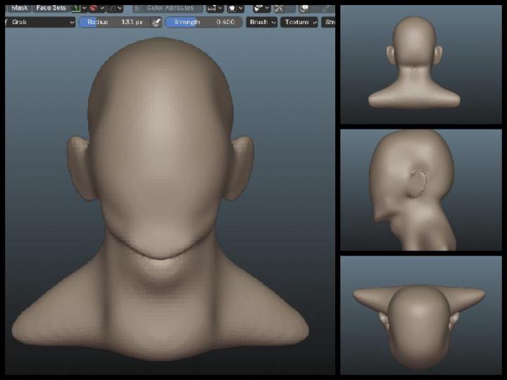 Face Sculpt Level 1