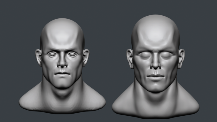 Face Sculpting Level 2 continued