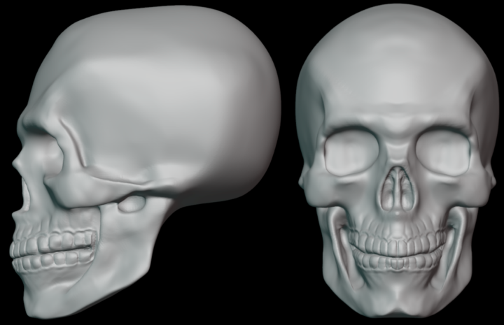 Day 4 of the challenge: Human Skull