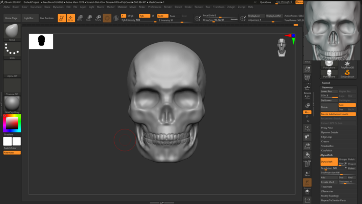 Third day skull practice