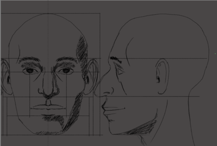 Sketching and proportions
