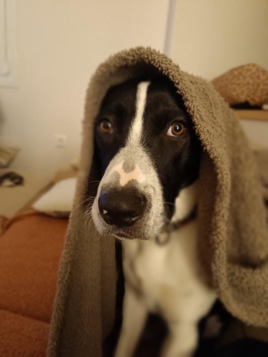 Μαρία Μήτρου